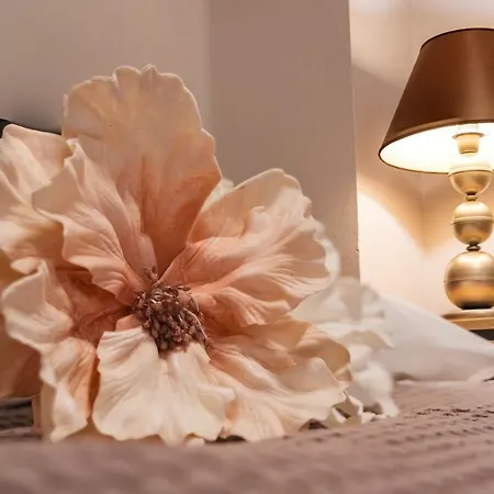 Apartament Cosy Central *